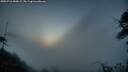 ./images/calvert/fitz-hugh-hecate/20250718/fitz-hugh-hecate20250718_050008M.jpg