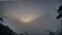 ./images/calvert/fitz-hugh-hecate/20250718/fitz-hugh-hecate20250718_051009M.jpg