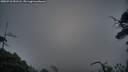 ./images/calvert/fitz-hugh-hecate/20250718/fitz-hugh-hecate20250718_051508M.jpg