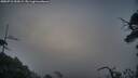 ./images/calvert/fitz-hugh-hecate/20250718/fitz-hugh-hecate20250718_052009M.jpg