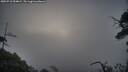 ./images/calvert/fitz-hugh-hecate/20250718/fitz-hugh-hecate20250718_054008M.jpg