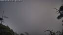 ./images/calvert/fitz-hugh-hecate/20250718/fitz-hugh-hecate20250718_062009M.jpg