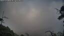 ./images/calvert/fitz-hugh-hecate/20250718/fitz-hugh-hecate20250718_064009M.jpg