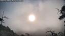 ./images/calvert/fitz-hugh-hecate/20250718/fitz-hugh-hecate20250718_070011M.jpg
