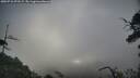 ./images/calvert/fitz-hugh-hecate/20250718/fitz-hugh-hecate20250718_072508M.jpg