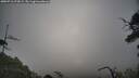 ./images/calvert/fitz-hugh-hecate/20250718/fitz-hugh-hecate20250718_073009M.jpg