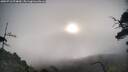 ./images/calvert/fitz-hugh-hecate/20250718/fitz-hugh-hecate20250718_074010M.jpg