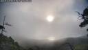 ./images/calvert/fitz-hugh-hecate/20250718/fitz-hugh-hecate20250718_074509M.jpg