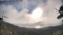 ./images/calvert/fitz-hugh-hecate/20250718/fitz-hugh-hecate20250718_080010M.jpg