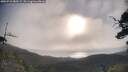 ./images/calvert/fitz-hugh-hecate/20250718/fitz-hugh-hecate20250718_080509M.jpg
