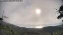 ./images/calvert/fitz-hugh-hecate/20250718/fitz-hugh-hecate20250718_081009M.jpg