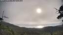 ./images/calvert/fitz-hugh-hecate/20250718/fitz-hugh-hecate20250718_081510M.jpg