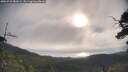 ./images/calvert/fitz-hugh-hecate/20250718/fitz-hugh-hecate20250718_082009M.jpg