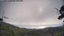./images/calvert/fitz-hugh-hecate/20250718/fitz-hugh-hecate20250718_082509M.jpg