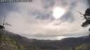 ./images/calvert/fitz-hugh-hecate/20250718/fitz-hugh-hecate20250718_083509M.jpg