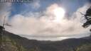 ./images/calvert/fitz-hugh-hecate/20250718/fitz-hugh-hecate20250718_084008M.jpg