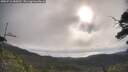 ./images/calvert/fitz-hugh-hecate/20250718/fitz-hugh-hecate20250718_085010M.jpg
