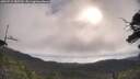 ./images/calvert/fitz-hugh-hecate/20250718/fitz-hugh-hecate20250718_085509M.jpg