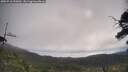 ./images/calvert/fitz-hugh-hecate/20250718/fitz-hugh-hecate20250718_090012M.jpg