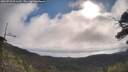 ./images/calvert/fitz-hugh-hecate/20250718/fitz-hugh-hecate20250718_091510M.jpg