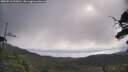 ./images/calvert/fitz-hugh-hecate/20250718/fitz-hugh-hecate20250718_092010M.jpg
