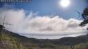 ./images/calvert/fitz-hugh-hecate/20250718/fitz-hugh-hecate20250718_094010M.jpg