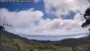 ./images/calvert/fitz-hugh-hecate/20250718/fitz-hugh-hecate20250718_101510M.jpg