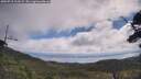 ./images/calvert/fitz-hugh-hecate/20250718/fitz-hugh-hecate20250718_103508M.jpg