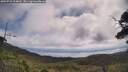 ./images/calvert/fitz-hugh-hecate/20250718/fitz-hugh-hecate20250718_104010M.jpg