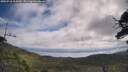 ./images/calvert/fitz-hugh-hecate/20250718/fitz-hugh-hecate20250718_105010M.jpg
