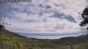 ./images/calvert/fitz-hugh-hecate/20250718/fitz-hugh-hecate20250718_105510M.jpg