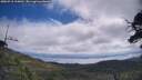 ./images/calvert/fitz-hugh-hecate/20250718/fitz-hugh-hecate20250718_110012M.jpg
