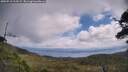 ./images/calvert/fitz-hugh-hecate/20250718/fitz-hugh-hecate20250718_113509M.jpg