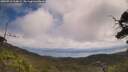 ./images/calvert/fitz-hugh-hecate/20250718/fitz-hugh-hecate20250718_114009M.jpg