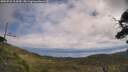 ./images/calvert/fitz-hugh-hecate/20250718/fitz-hugh-hecate20250718_114510M.jpg