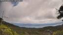 ./images/calvert/fitz-hugh-hecate/20250718/fitz-hugh-hecate20250718_115011M.jpg