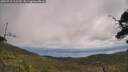 ./images/calvert/fitz-hugh-hecate/20250718/fitz-hugh-hecate20250718_115510M.jpg