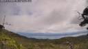 ./images/calvert/fitz-hugh-hecate/20250718/fitz-hugh-hecate20250718_120510M.jpg