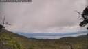 ./images/calvert/fitz-hugh-hecate/20250718/fitz-hugh-hecate20250718_121008M.jpg