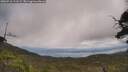 ./images/calvert/fitz-hugh-hecate/20250718/fitz-hugh-hecate20250718_121509M.jpg