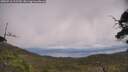 ./images/calvert/fitz-hugh-hecate/20250718/fitz-hugh-hecate20250718_122509M.jpg