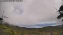 ./images/calvert/fitz-hugh-hecate/20250718/fitz-hugh-hecate20250718_123509M.jpg