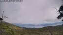 ./images/calvert/fitz-hugh-hecate/20250718/fitz-hugh-hecate20250718_124008M.jpg