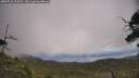./images/calvert/fitz-hugh-hecate/20250718/fitz-hugh-hecate20250718_124511M.jpg