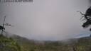 ./images/calvert/fitz-hugh-hecate/20250718/fitz-hugh-hecate20250718_125510M.jpg