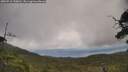 ./images/calvert/fitz-hugh-hecate/20250718/fitz-hugh-hecate20250718_130011M.jpg