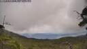 ./images/calvert/fitz-hugh-hecate/20250718/fitz-hugh-hecate20250718_130509M.jpg