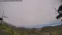 ./images/calvert/fitz-hugh-hecate/20250718/fitz-hugh-hecate20250718_131509M.jpg