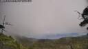 ./images/calvert/fitz-hugh-hecate/20250718/fitz-hugh-hecate20250718_132508M.jpg