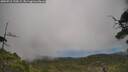 ./images/calvert/fitz-hugh-hecate/20250718/fitz-hugh-hecate20250718_133009M.jpg